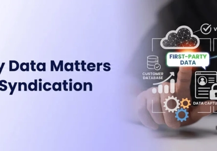 Why First-Party Data Matters in B2B Content Syndication Campaigns